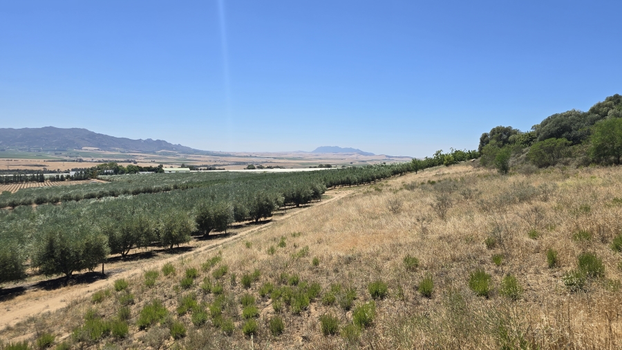 Commercial Property for Sale in Paarl Rural Western Cape